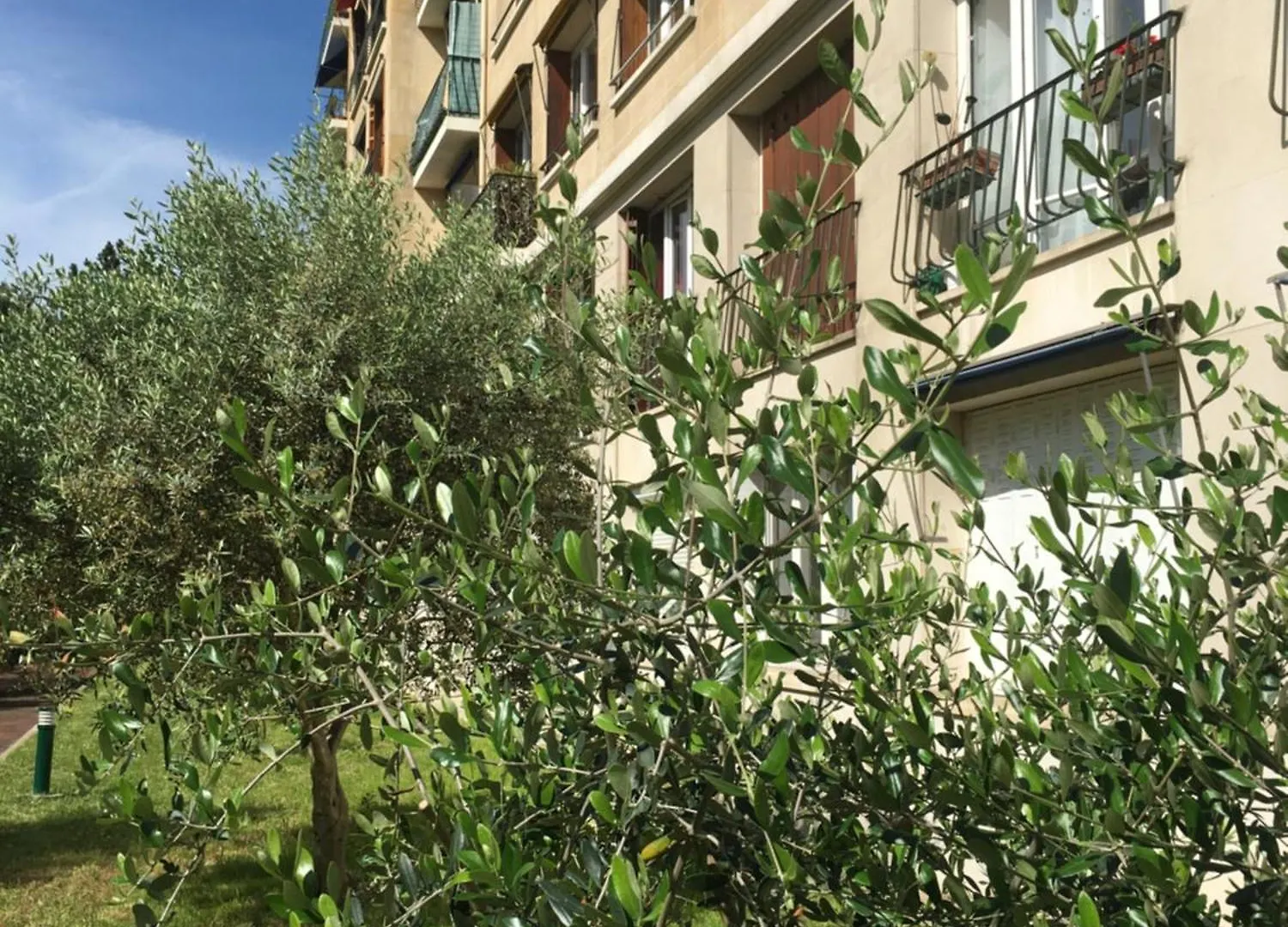 Veeve - Grand In Grey Appartamento Parigi